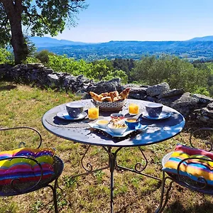 Cante Grillet Lacoste (Vaucluse)